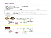 第29讲 免疫失调和免疫学的应用（讲义）-2025年高考生物一轮复习课件+讲义+专练（新教材新高考）