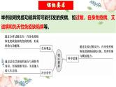 第29讲 免疫失调和免疫学的应用（课件）-2025年高考生物一轮复习课件+讲义+专练（新教材新高考）