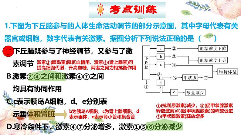 第30讲 动物生命活动调节的综合分析（精美课件）第8页