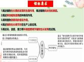 第31讲 植物生命活动调节（第二课时）（课件）-2025年高考生物一轮复习课件+讲义+专练（新教材新高考）