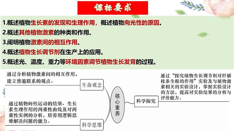 第31讲 植物生命活动调节（第二课时）（精美课件）第4页