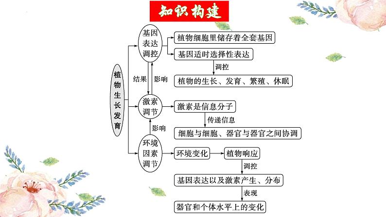 第31讲 植物生命活动调节（第二课时）（精美课件）第6页