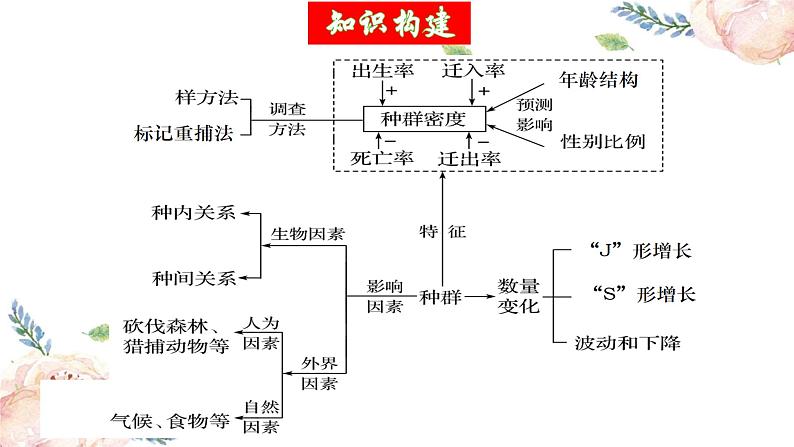 第32讲 种群及其动态（第二课时，种群的数量变化及其影响因素）（精美课件）第5页