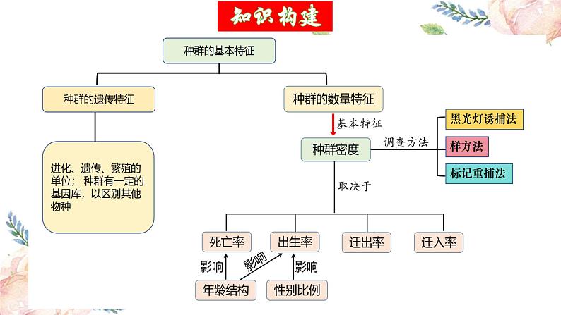 第32讲 种群及其动态（第一课时，种群的数量特征）（精美课件）第5页