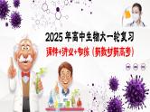 第34讲 生态系统的结构（课件）-2025年高考生物一轮复习课件+讲义+专练（新教材新高考）