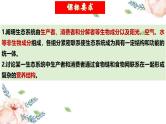 第34讲 生态系统的结构（课件）-2025年高考生物一轮复习课件+讲义+专练（新教材新高考）