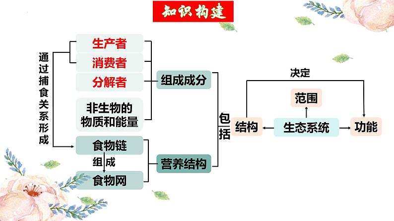 第34讲 生态系统的结构（精美课件）第5页