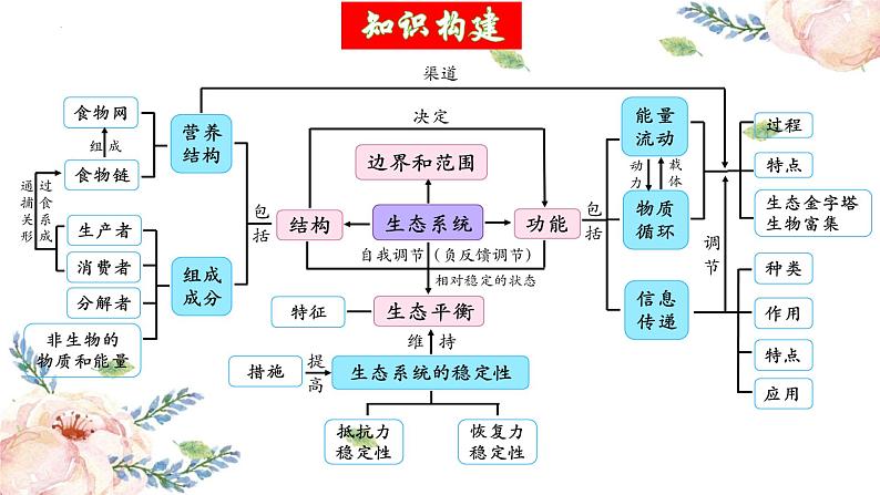 第35讲 生态系统的功能及其稳定性（第二课时）（精美课件）第5页