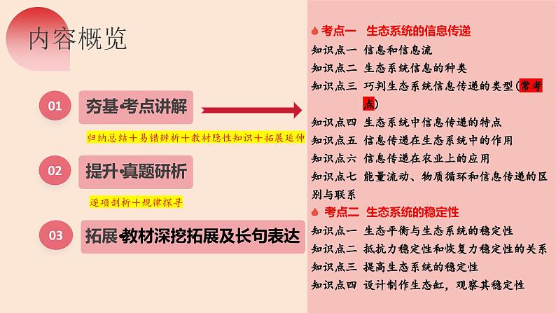 第35讲 生态系统的功能及其稳定性（第二课时）（精美课件）第6页