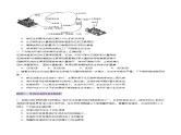 第36讲 人与环境（专练）-2025年高考生物一轮复习课件+讲义+专练（新教材新高考）
