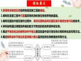 第38讲 微生物的培养技术和应用（课件）-2025年高考生物一轮复习课件+讲义+专练（新教材新高考）