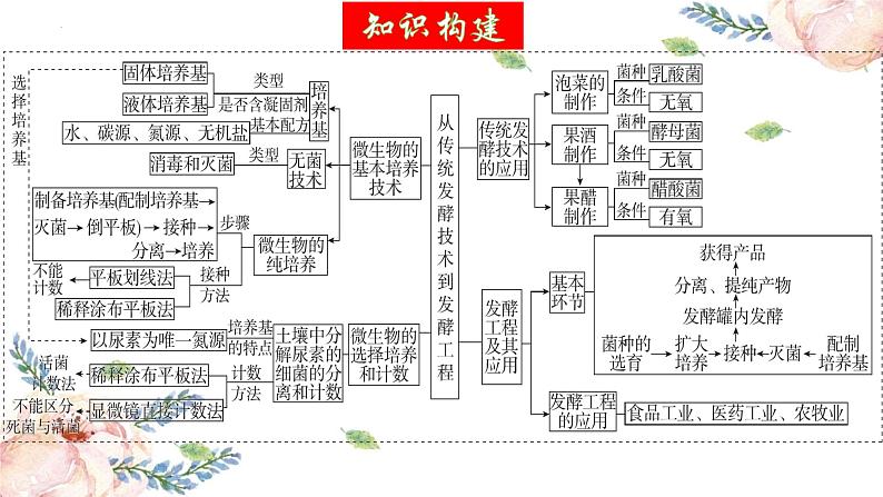 第38讲 微生物的培养技术和应用（精美课件）第5页