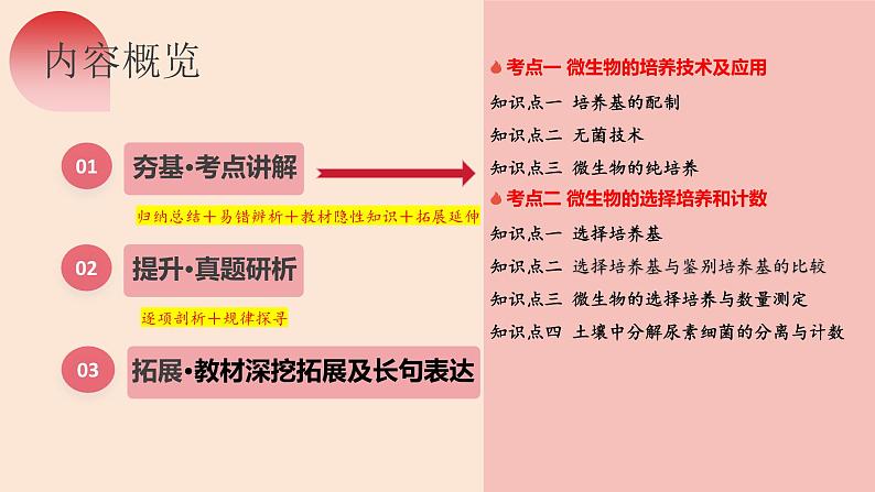 第38讲 微生物的培养技术和应用（精美课件）第6页