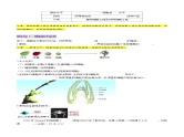 第39讲 植物细胞工程（讲义）-2025年高考生物一轮复习课件+讲义+专练（新教材新高考）
