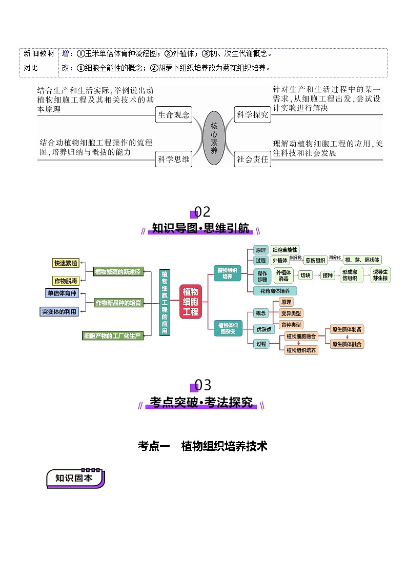 第39讲 植物细胞工程（讲义）（解析版）第3页