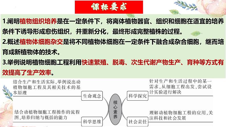 第39讲 植物细胞工程（精美课件）第4页