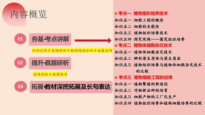 第39讲 植物细胞工程（精美课件）第6页