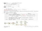 第41讲 胚胎工程（讲义）-2025年高考生物一轮复习课件+讲义+专练（新教材新高考）