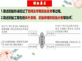 第41讲 胚胎工程（课件）-2025年高考生物一轮复习课件+讲义+专练（新教材新高考）