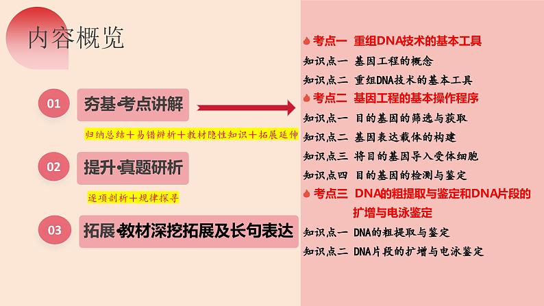 第42讲 基因工程以及生物技术的安全性和伦理问题（第一课时）（精美课件）第6页