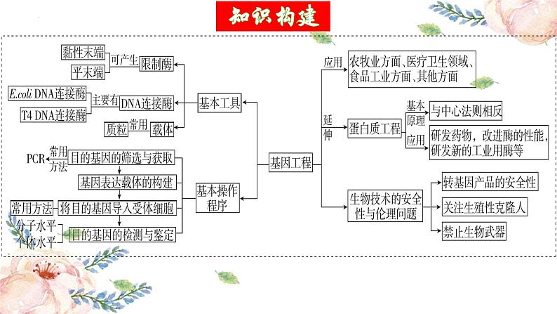 第42讲 基因工程以及生物技术的安全性和伦理问题（第二课时）（精美课件）第5页