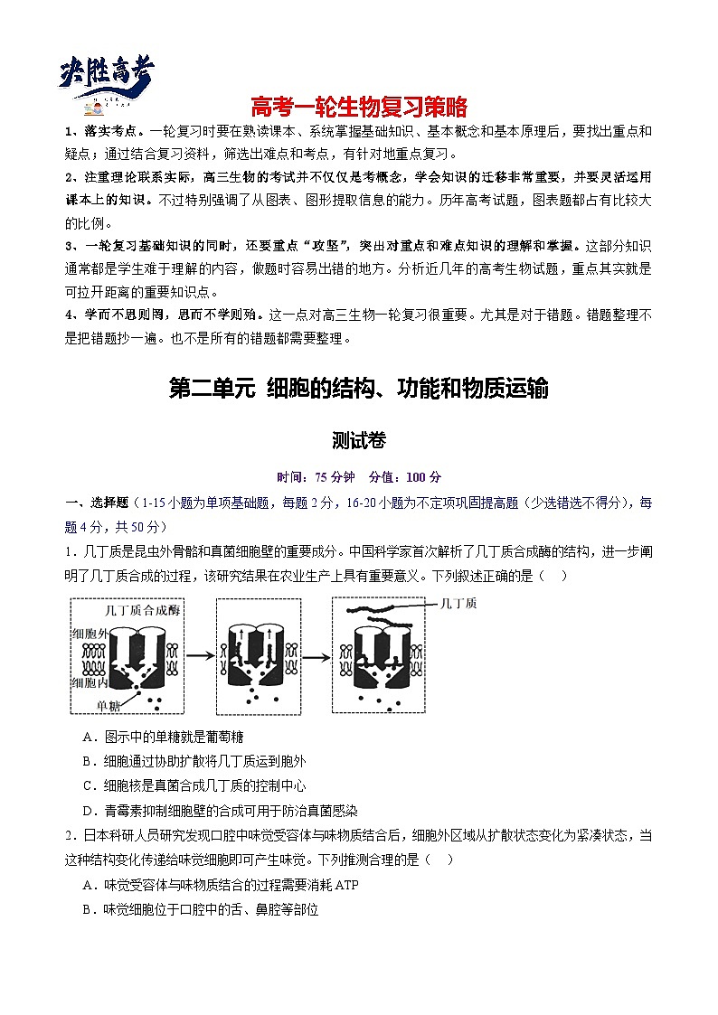 第二单元 细胞的结构、功能和物质运输（测试）（原卷版）第1页