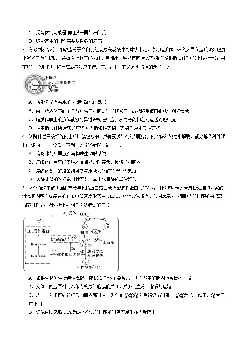 第二单元 细胞的结构、功能和物质运输（测试）（原卷版）第2页