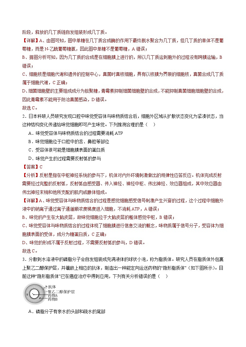 第二单元 细胞的结构、功能和物质运输（测试）（解析版）第2页