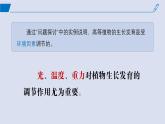 2024-2025学年高中生物同步备课课件（人教版2019）选择性必修一5-4环境因素参与调节植物的生命活动
