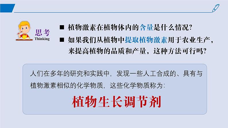 2024-2025学年高中生物同步备课课件（人教版2019）选择性必修一5-3植物生长调节剂的应用第3页