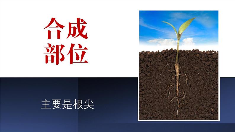 2024-2025学年高中生物同步备课课件（人教版2019）选择性必修一5-2其他植物激素第8页