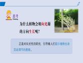 2024-2025学年高中生物同步备课课件（人教版2019）选择性必修一5-1植物生长素