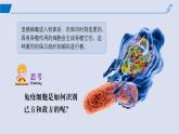 2024-2025学年高中生物同步备课课件（人教版2019）选择性必修一4-2特异性免疫