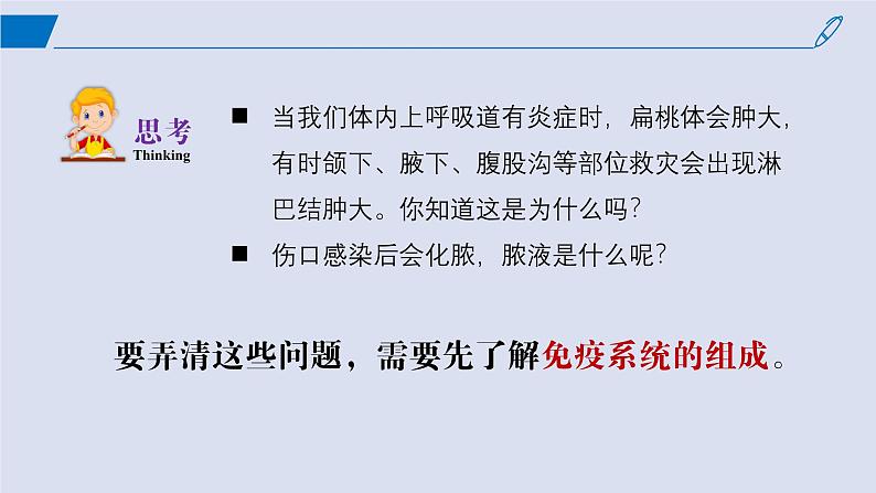 2024-2025学年高中生物同步备课课件（人教版2019）选择性必修一4-1免疫系统的组成和功能第3页