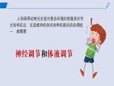 2024-2025学年高中生物同步备课课件（人教版2019）选择性必修一3-3体液调节与神经调节的关系