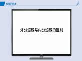2024-2025学年高中生物同步备课课件（人教版2019）选择性必修一3-1激素与内分泌系统