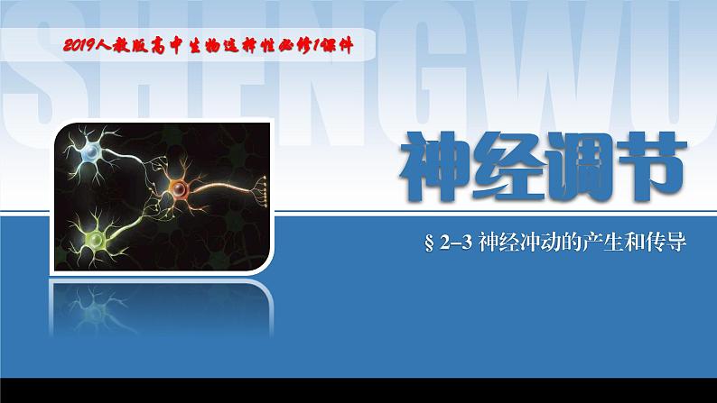 2024-2025学年高中生物同步备课课件（人教版2019）选择性必修一2-3神经冲动的产生和传导第1页