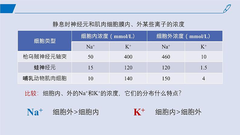 2024-2025学年高中生物同步备课课件（人教版2019）选择性必修一2-3神经冲动的产生和传导第6页