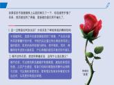 2024-2025学年高中生物同步备课课件（人教版2019）选择性必修一2-2神经调节的基本方式