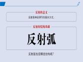 2024-2025学年高中生物同步备课课件（人教版2019）选择性必修一2-2神经调节的基本方式