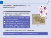 2024-2025学年高中生物同步备课课件（人教版2019）选择性必修一1-1细胞生活的环境