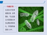 2024-2025学年高中生物同步备课课件（人教版2019）选择性必修一1-1细胞生活的环境