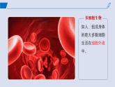 2024-2025学年高中生物同步备课课件（人教版2019）选择性必修一1-1细胞生活的环境