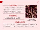 2024-2025学年高中生物同步备课课件（人教版2019）选择性必修三4-3禁止生物武器