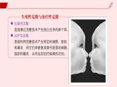 2024-2025学年高中生物同步备课课件（人教版2019）选择性必修三4-2关注生殖性克隆人