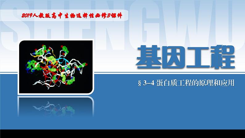 2024-2025学年高中生物同步备课课件（人教版2019）选择性必修三3-4蛋白质工程的原理和应用第1页