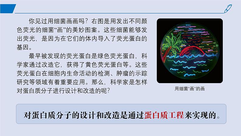 2024-2025学年高中生物同步备课课件（人教版2019）选择性必修三3-4蛋白质工程的原理和应用第2页