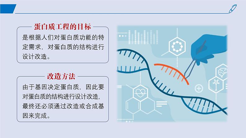 2024-2025学年高中生物同步备课课件（人教版2019）选择性必修三3-4蛋白质工程的原理和应用第7页