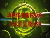 2024-2025学年高中生物同步备课课件（人教版2019）选择性必修三2-2-3动物体细胞核移植技术和克隆动物