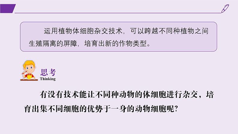 2024-2025学年高中生物同步备课课件（人教版2019）选择性必修三2-2-2动物细胞融合技术与单克隆抗体第2页